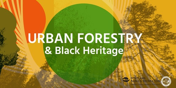 Urban Forestry graphic for African heritage program