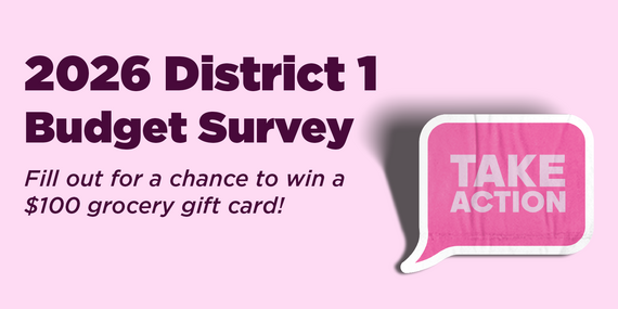 budget survey
