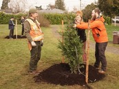 PPR - Three people standing around a recently planted tree