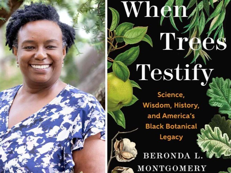 PPR - Split picture of woman in blue shirt and book cover 
