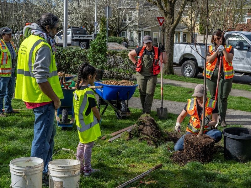 PPR - Group of people watching will woman works on tree roots 