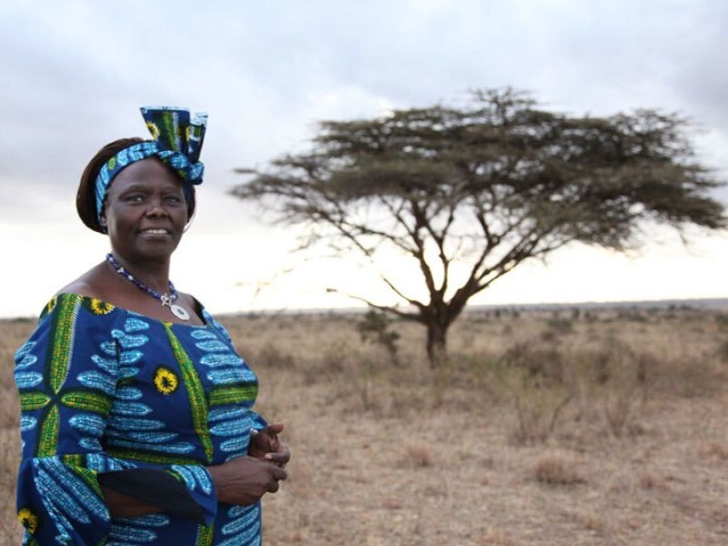 PPR - Woman posing with large tree in background