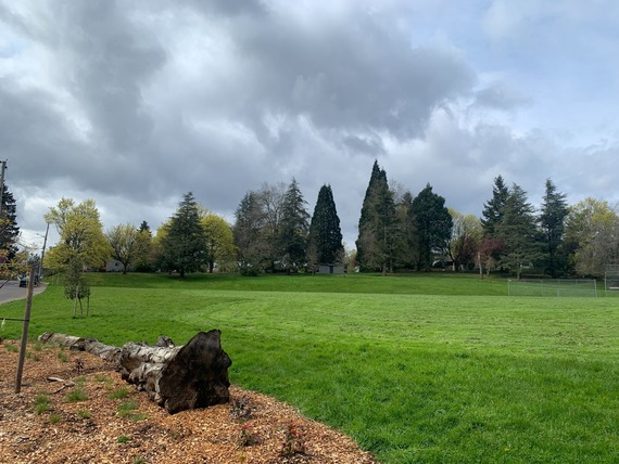 A field of grass at a city park named ‘Scht Wiwnu