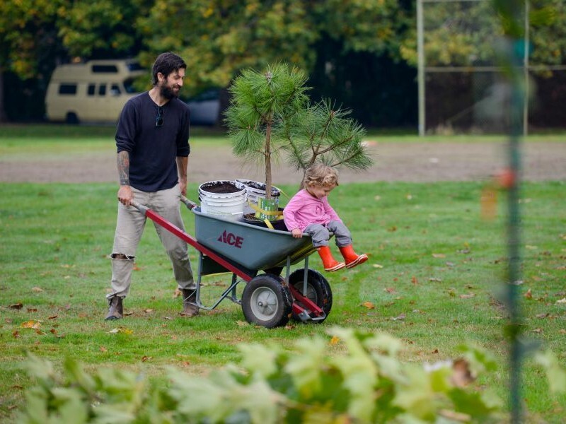 PPR - Father pushing a wheelbarrow with a small tree and daughter