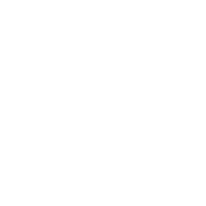 Community Member