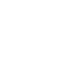 311 Maintenance Opps