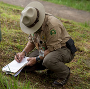 Park Ranger Small