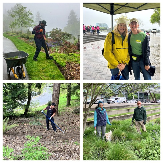 Parks Volunteers