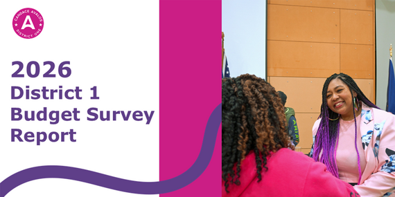 Budget Survey Report