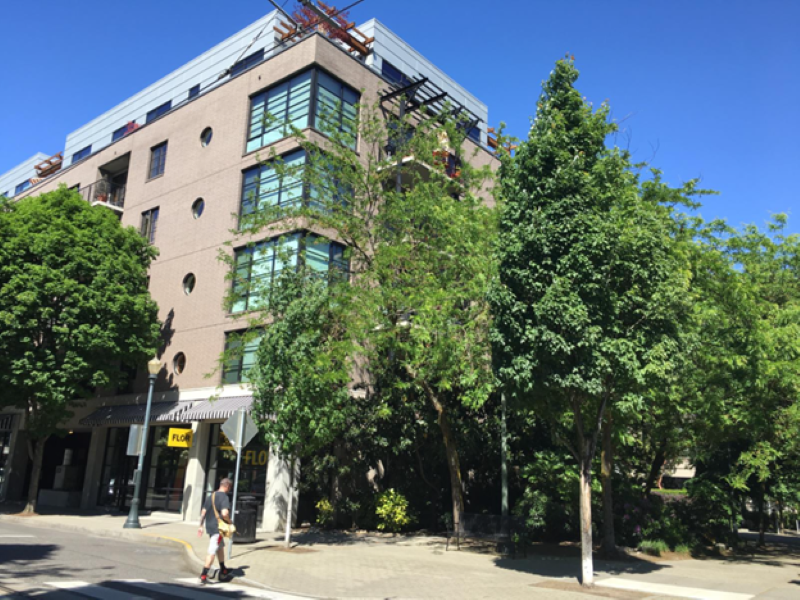 PPR - Trees in front of a building