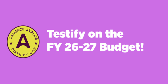 testify on the budget 