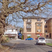 Neighborhood street shows a multi-level housing building and a big tree - Inner Eastside Zoning Project
