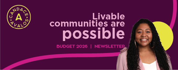 Budget newsletter