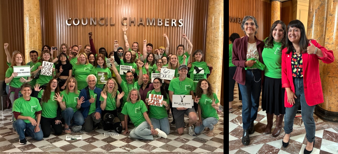 Right, group of animal rights activists in green shirts at council chambers. Left, TKL in thumbs-up selfie with two advocates.