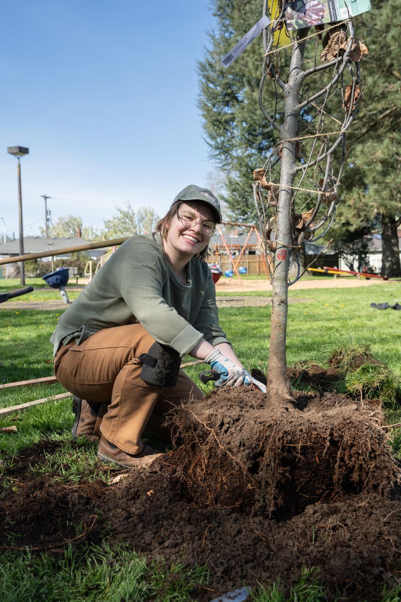 Person working on roots for small tree