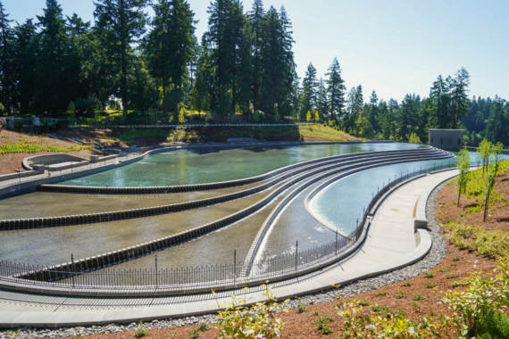 Washington Park Reservoir is a public space with a terraced reflecting pool.