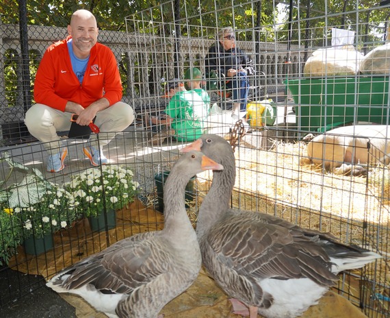 Councilor Zimmerman at Goose Hollow Days