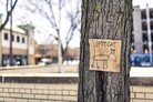 Tree with sign of lost cat