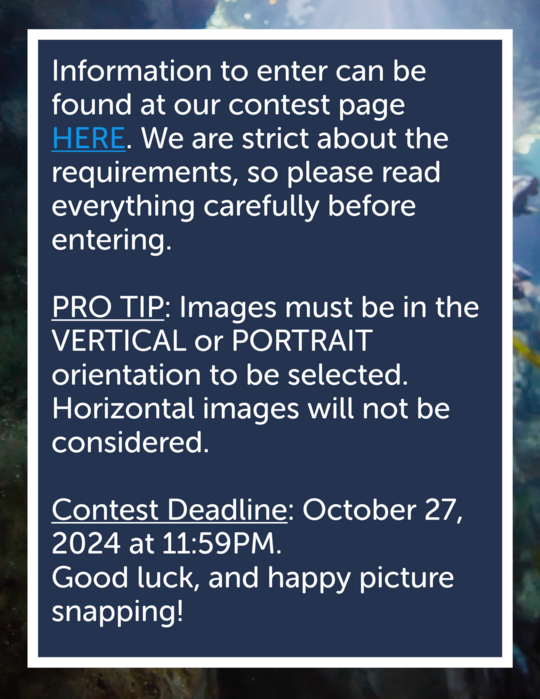 Click to go to the contest information page