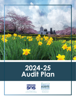 2024-25 Audit Plan cover