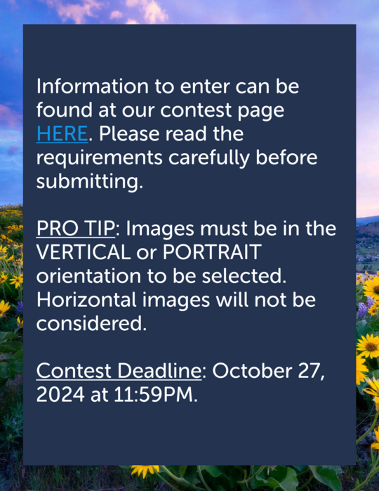 visit sos.oregon.gov/photocontest for details