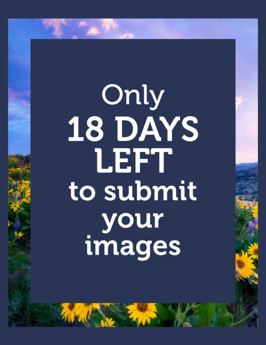 Oregon Blue Book Photo Contest 18 days left