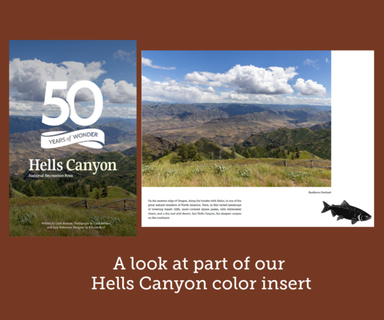 Two images showing a large canyon and blue skies with clouds. The caption says, "A look at part of our Hells Canyon color insert."