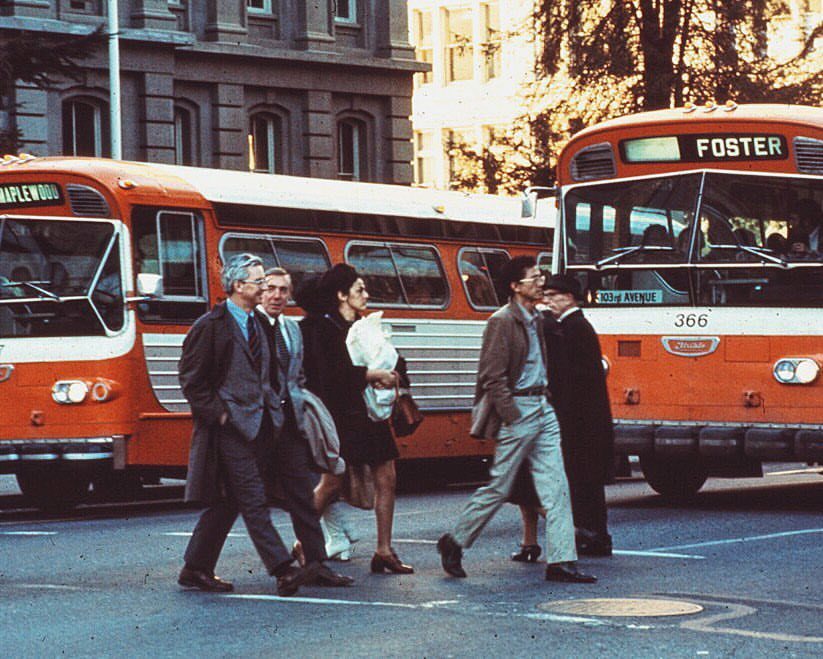 Vintage TriMet buses downtown