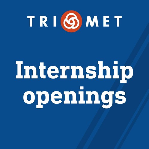 Internship openings graphic