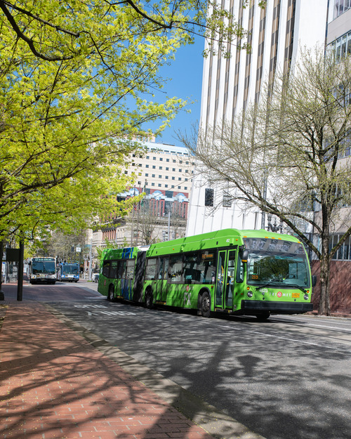 This photo shows a TriMet FX bus heading southbound on the Portland Transit Mall