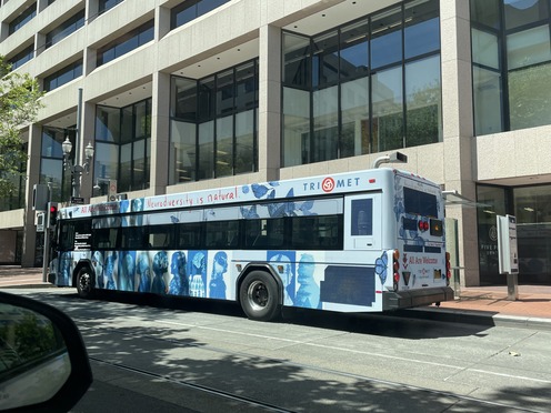 disability pride july 2024