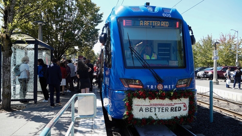 Type 6 train waiting at a platform