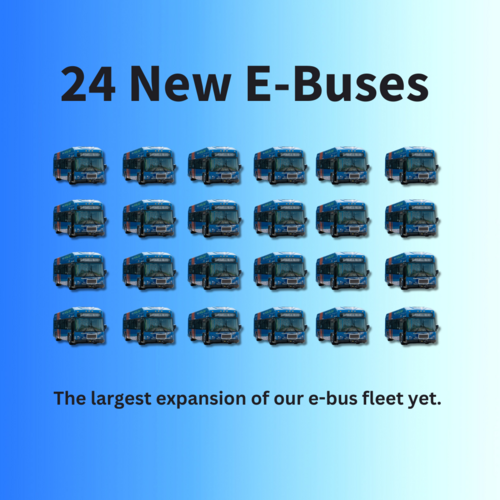 24 electric buses