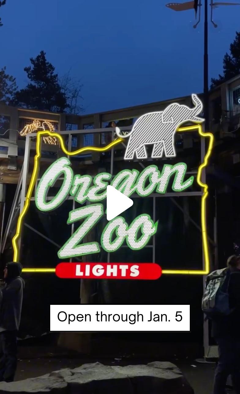 ZooLights display
