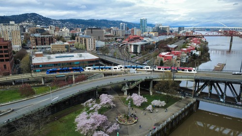 Cherry blossoms along the waterfront and four MAX train cars in view 