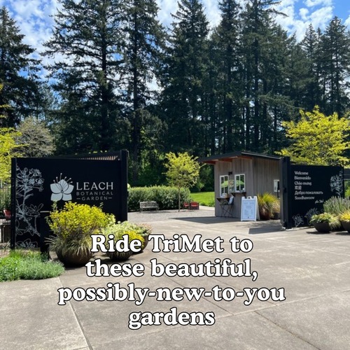 This is a photo of Leach Botanic Gardens in SE Portland.