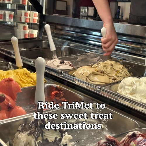 This is a photo of Pinolo Gelato's gelato flavors