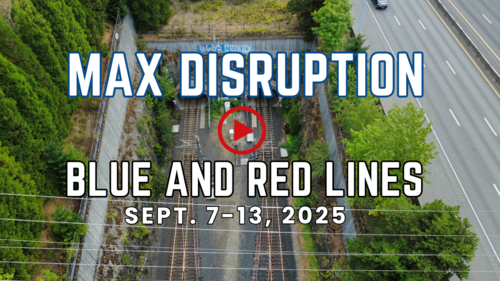 a pair of railway tunnels with train tracks leading into them, surrounded by retaining walls and greenery