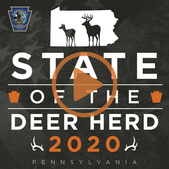 State of Deer Herd Video Icon on Image