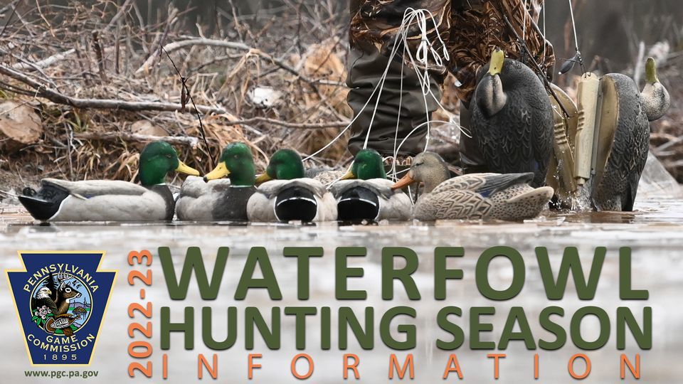 Waterfowl Hunting season info graphic 2022-23