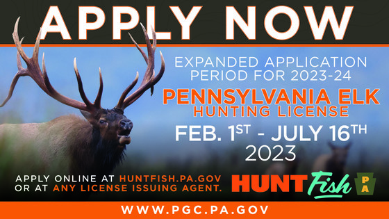 Apply Now Elk Graphic