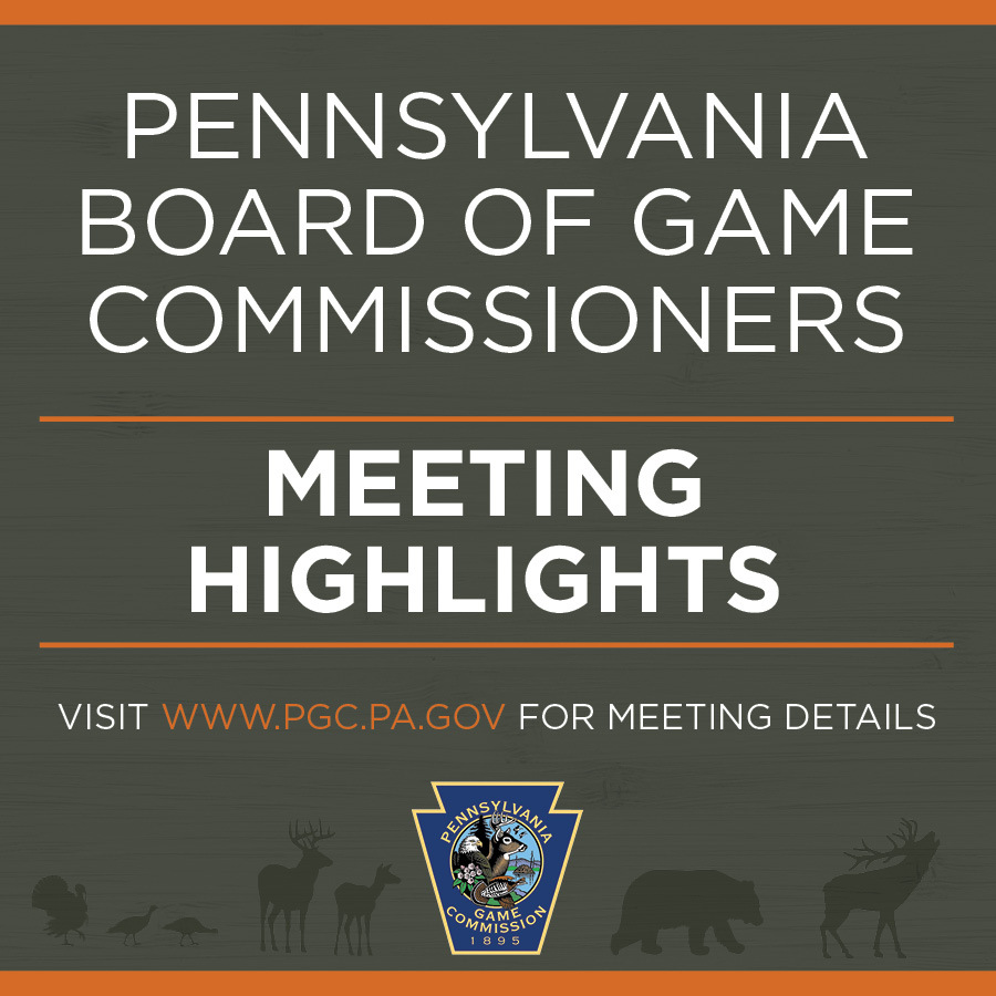 Meeting Highlights Graphic