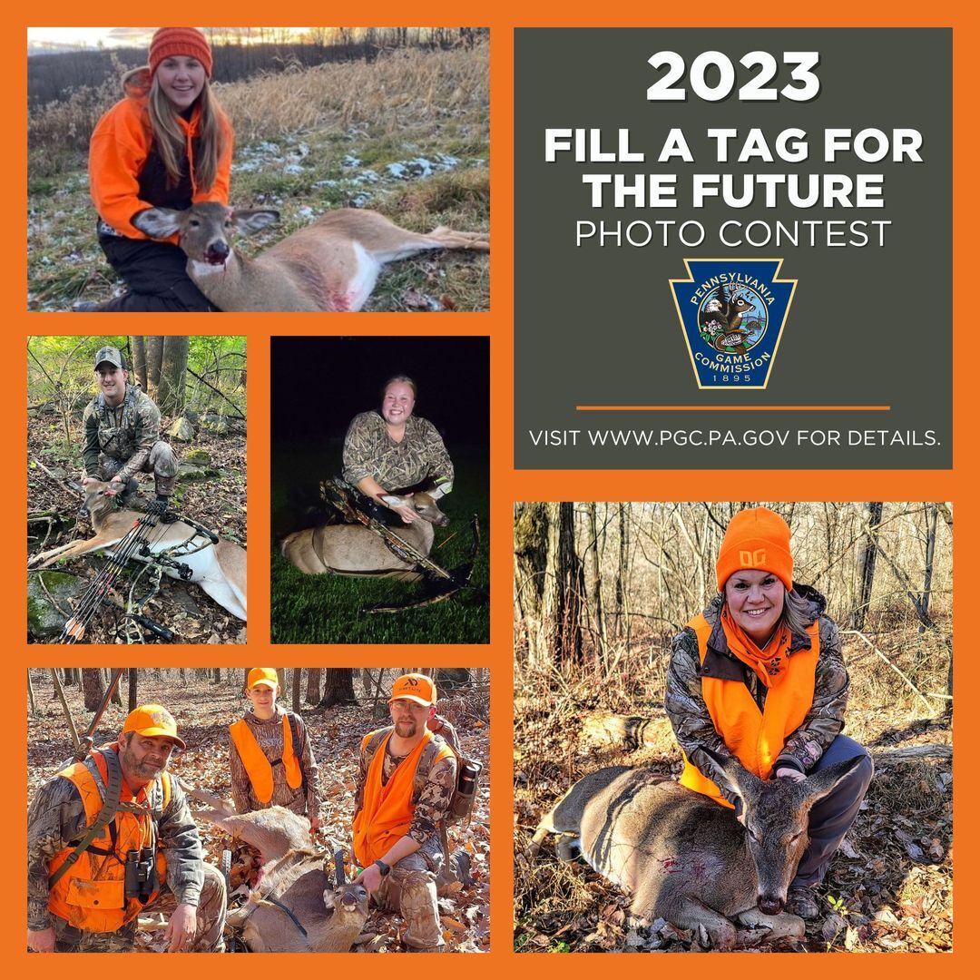 Fill a tag for the future photo contest image