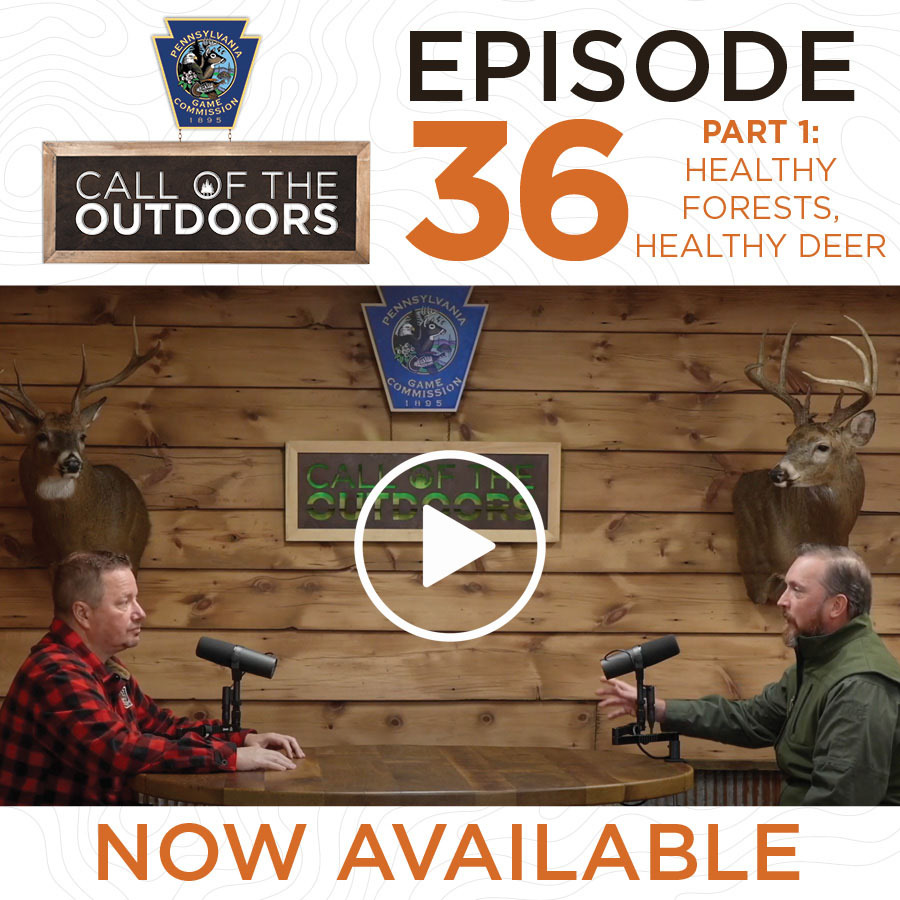 Ep 36 Call of the Outdoors Graphic