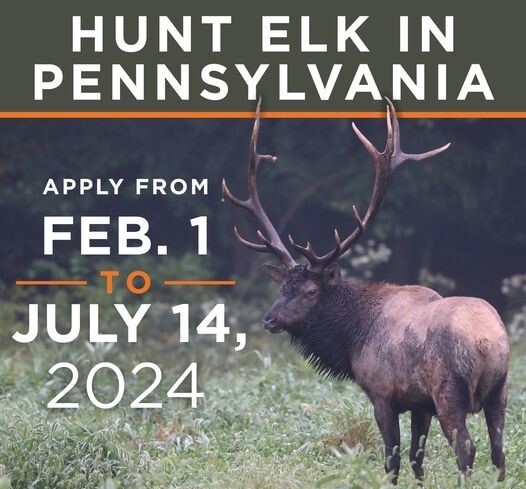 elk applications 2024-25