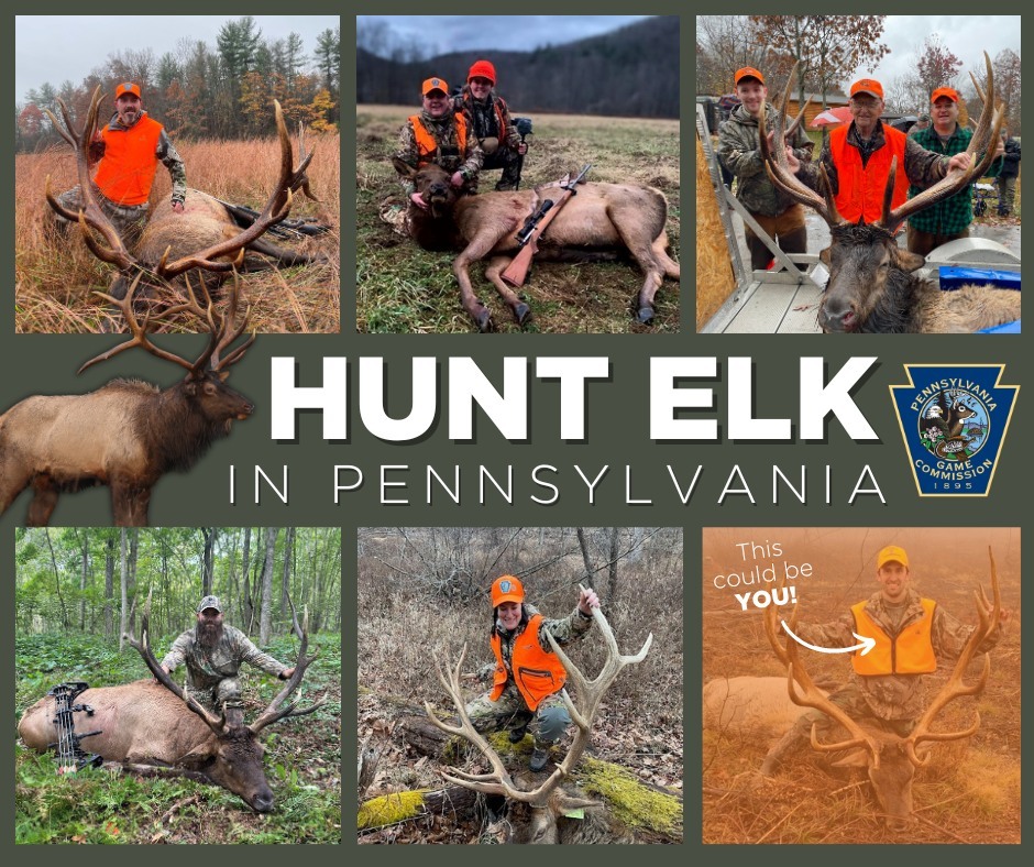 Hunting licenses go on sale next week!