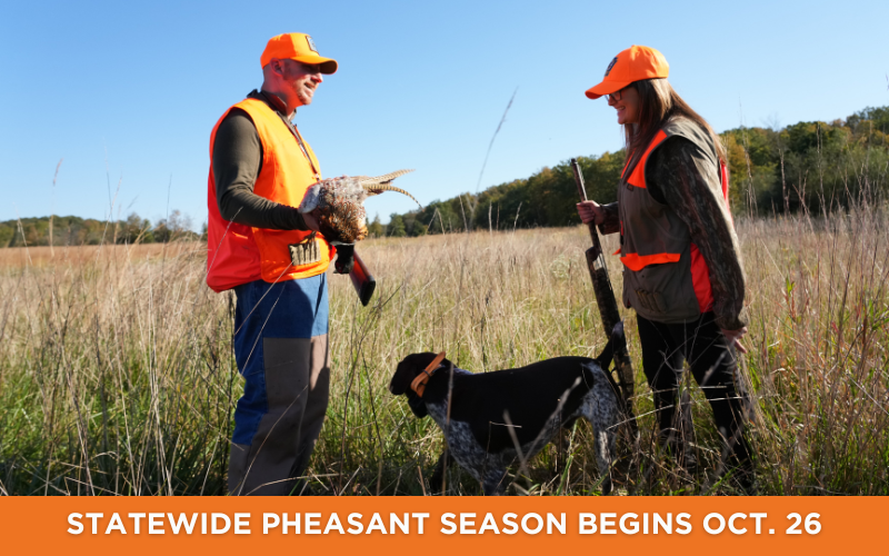 Pheasant season