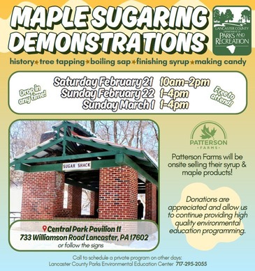 maple sugaring