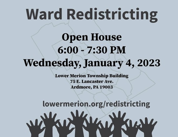 redistricting flyer