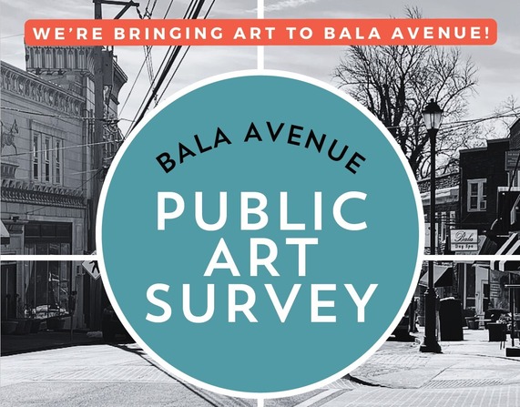 bala survey